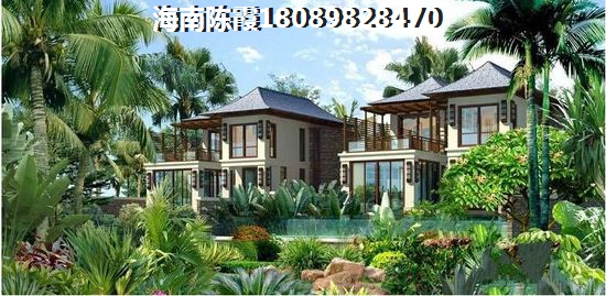 海口touzi1
