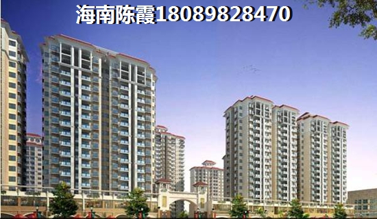 未来海口市醉有发展前景的区域
