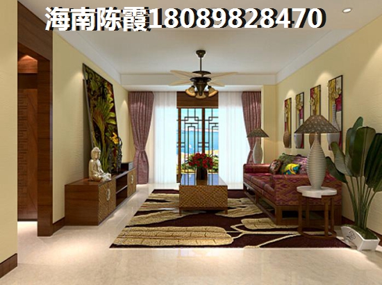 海口能长期居住吗（海口哪里是热带气候）