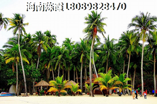 兆南西海豪园公寓汇总！