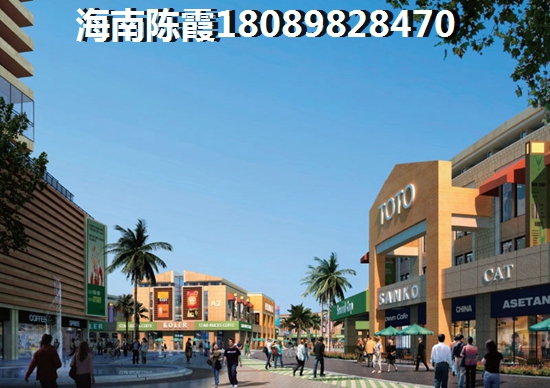 内地人在海南买房那个地段好