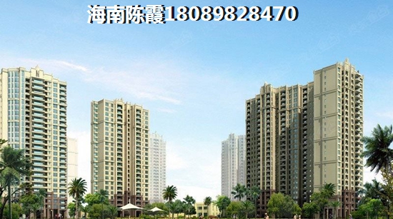 “候鸟”适不适合在海南海口市过冬？